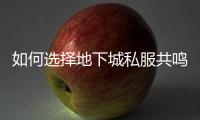 如何选择地下城私服共鸣装备的喂养方式？