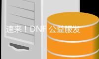 速来！DNF 公益服发布，畅享别样格斗盛宴