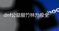 dnf公益服竹林升级全攻略与技巧分享