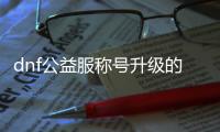 dnf公益服称号升级的终极指南